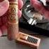 SMOKING A CREAMY OLIVA CIGAR ON A SUNNY DAY Cigar Asmr Cigarshow