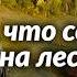 Шампиньоны кровохлёбка и что ещё можно собрать на лесном лугу Дары Башкирии