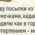 Как Девушка Ждала Посылки Из Китая Сборник Новых Смешных И Весёлых Историй Из Жизни Юмор Позитив