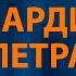 RADIO TAPOK Гвардия Петра Караоке