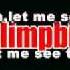 Limp Bizkit Autotunage Video Lyrics