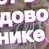 Ксения Собчак позирует в леопардовом купальнике со стрингами