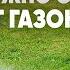 МИНУСЫ ГАЗОНА Чем можно заменить газон на участке Альтернатива газону