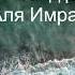 Очень красивое чтение Корана до слез Читает Саид Дубаха Сура Алю Имран 33 66