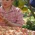 Giant Pizza Making Process Brings Joy To Poor Village Children Ly Tu Lien