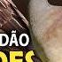 CANTOS De AVES Que Trazem SAUDADES DA ROÇA Cantos Das Aves Rurais Comuns Do Brasil