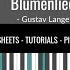 Blumenlied Flower Song Gustav Lange Sheet Music Piano Solo Piano Cover Tutorial