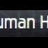 Human Hunt House Thiscom