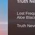 Lost Frequencies Feat Aloe Blacc Truth Never Lies