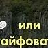 Посмотри если устал от жизни Как я загнала себя Синдром достигатора Мотивация