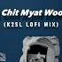 A Chit Myat Woon Lofi Mix