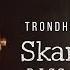 Trondheim Audio Devices SkarBassOne Analog Bass Compressor EQ Overdrive