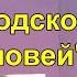 Городской соловей Поёт восхитительная Анастасия Лысякова рояль блистательный Дмитрий Карпов