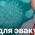 Скотовозка для эвакуации инфлюенсеры за президента Путин сделал это 15 раз