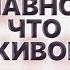 Попал в кольцо в Судже История срочника который видел смерть