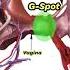 Where Is The G Spot UroChannel