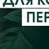 Медитация для быстрой перезагрузки и восстановления