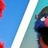 Sesame Street If You Re Happy And You Know It Song Compilation