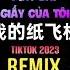 GooGoo 王之睿 我的纸飞机 DJ铁柱版 Máy Bay Giấy Của Tôi Remix Tiktok GooGoo Vương Chi Duệ