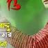 Romantic Bangla Songs সব হ ট গ ন Bangla Hit Song Prosenjit Rachana 90s Bengali Hits Songs