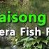 Mala Paraisong Bakuran Cabrera Fish Farm