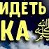 Молитва чтобы увидеть Пророка ﷺ во сне