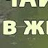 Величайшее чудо в жизни Сильная проповедь Андреас Конанос