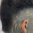 SHORT MOHAWK FADE Fade Fadebarbershop Haircut Fadecut Mohawk Barbershop Fadebarber