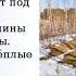 Весна К нам весна шагает быстрыми шагами Токмакова И