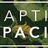 Adaptive Capacity 1 Shellfish Kelp