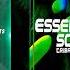 Yan Bruno Aurelio Mendes Essential Sounds Tribal House Vol 01