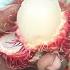 Rambutan Chom Chom Rasta Fruit All You Need To Know About It