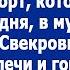 В день рождения дочки Вероника обнаружила свой торт в мусорном ведре Свекровь стояла и улыбалась