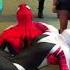 Spider Man Can T Save Spider Gwen Shorts