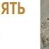 Как управлять своими страхами Часть 2 Пробуди КодЖитьЖизнь Анна Богинская