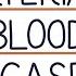 Understanding Arterial Blood Gases