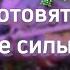 4 Королевы Год возможностей Как использовать энергии 2025 2025 энергетическийпрогноз