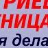 8 ноября народный праздник Дмитриев день Что делать нельзя Народные приметы и традиции