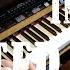 Van Halen Love Walks In Keyboard Cover On Digital Piano And Oberheim OB 8 Keyboards Only