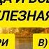 Вы точно эрудит если сможете ответить хотя бы на 15 вопросов