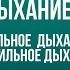 Дыхание по Лоскутовой Правильное дыхание Неправильное дыхание Диагностика Упражнения