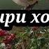 Таъбири хоб гов Гуристон Гурба Гург Гунчишк тавозуни хакикат 2022