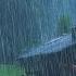 LIVE Rain Sounds For Sleeping Sound Of Heavy Rainstorm Thunder In The Misty Forest At Night