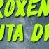 Roxen Ce Ti Canta Dragostea Versuri Lyrics Karaoke