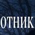 Сага о вампирах 10 серия Ночные охотники автор Анна Костенко Мистика Приключения