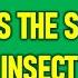 Can You Guess The Insect Sound Bug Sounds Test Your Nature IQ