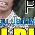 LAGU JAMBI LAH RUSAK PUDAY Official Music JM Management