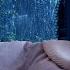 Sounds Rain And Thunder On Window Heavy Rain For Sleep Well Beat Insomnia Goodbye Stress