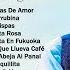 Juan Luis Guerra 4 40 EXITOS EXITOS Sus Mejores Canciones Juan Luis Guerra Mix