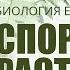 СПОРОВЫЕ РАСТЕНИЯ МХИ ПАПОРОТНИКИ ХВОЩИ ПЛАУНЫ ЦИКЛЫ Ботаника ЕГЭ БИОЛОГИЯ 2025 Freedom